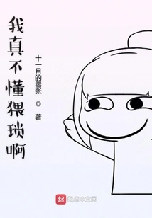 I Really Don't Understand Obscenity