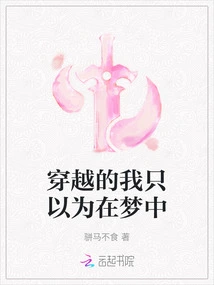 I Only Thought I Was in a Dream When I Traveled Through Time