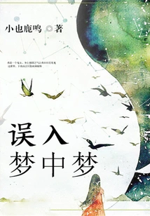 Wandering into a Dream Within a Dream