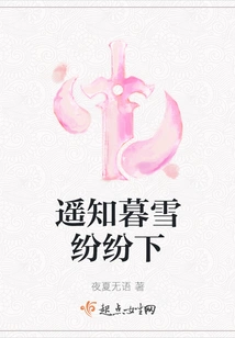 I Know from Afar That Snow is Falling One after Another at Dusk