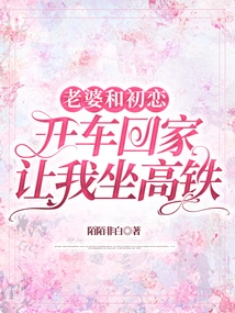 My Wife and First Love Drove Home and Asked Me to Take the High-speed Rail