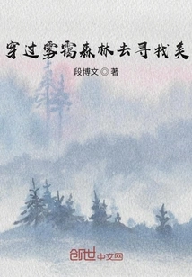 Walk Through the Misty Forest to Find Beauty