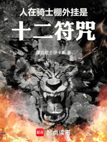 Kamen Rider, the Plug-in is the Twelve Talismans