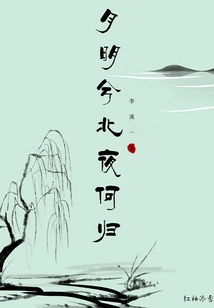 The Moon is Bright, Where Can I Go in the Northern Night?