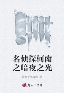 Detective Conan: the Light of the Night