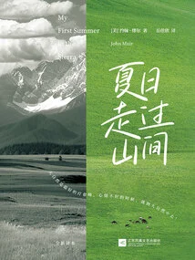 Walking Through the Mountains in Summer