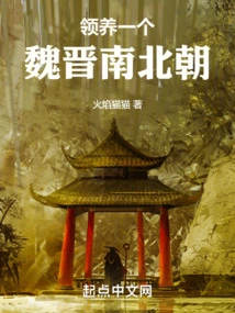 Adopt a Wei, Jin, Southern and Northern Dynasties