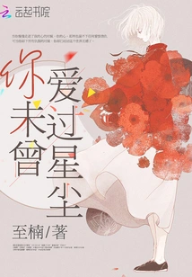 You Never Loved Stardust