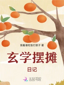 Diary of a Metaphysics Stall