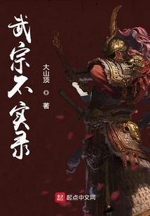 Untrue Records of Wuzong