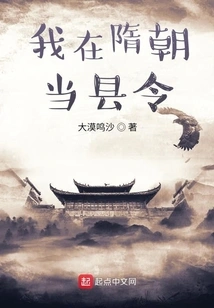 I Was a County Magistrate in the Sui Dynasty