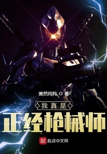 I'm a Serious Gunsmith