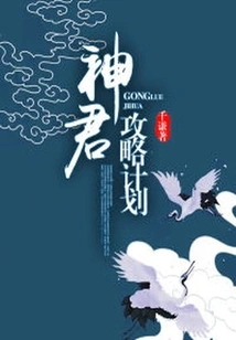 Shenjun Strategy Plan