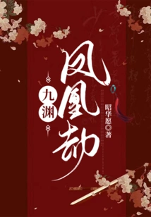 Nine Abyss Phoenix Tribulation