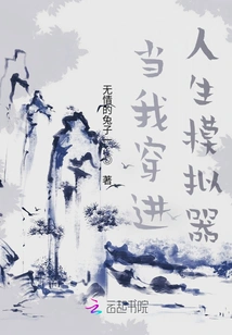 When I Step into the Life Simulator