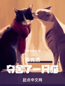 I Actually Took Away a Cat