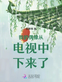 My Idol Got Off the Tv