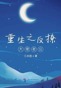 Rebirth: Flirting with the Boss Husband