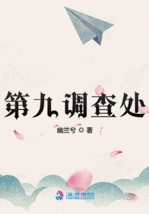 Ninth Investigation Division