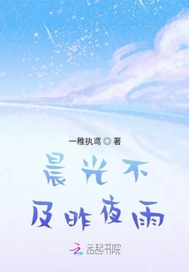 The Morning Light is Not as Good as Last Night's Rain