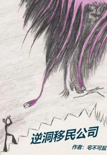 Nidong Immigration Company