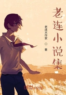 Lao Lian's Novel Collection