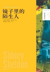 Stranger in the Mirror (sheldon's Work)