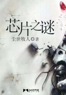 The Mystery of the Chip