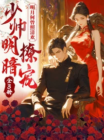 Never Did the Bright Moon Shine on Qing Huan: the Young Marshal Flirting with His Secret Favor (3 Volumes in Total)