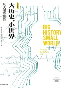 Big History, Small World: from the Big Bang to You