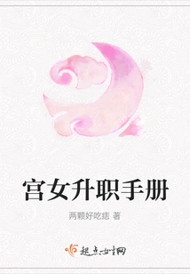 Palace Maid Promotion Manual