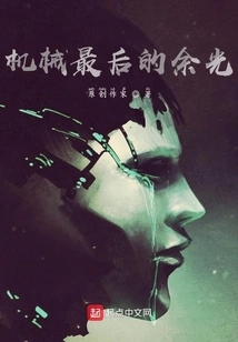 The Last Sight of the Machine