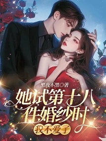 When She Tried on the Eighteenth Wedding Dress, I Didn't Love it Anymore