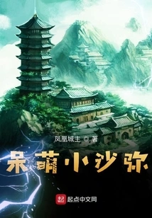 Cute Little Novice Monk