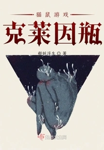 Cat and Mouse Game: Klein Bottle