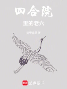 The Sixth Child in the Courtyard