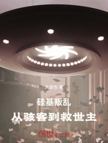 Silicon Rebellion: from Hacker to Messiah