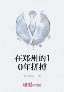 10 Years of Hard Work in Zhengzhou