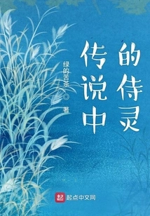 The Legendary Servant Spirit