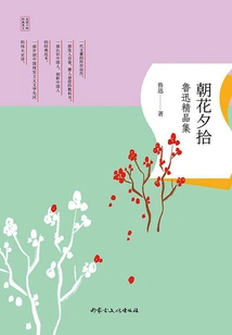 Gathering Flowers in the Morning and Evening: Lu Xun's Collection