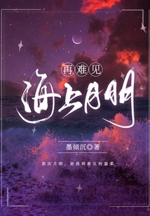 It's Hard to See the Moonlight on the Sea Anymore