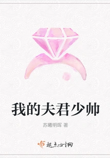 My Husband, the Young Marshal