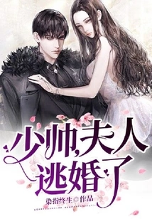 Young Marshal, My Wife Has Escaped from Marriage