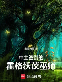 Hogwarts Wizards of Middle-earth Check-in