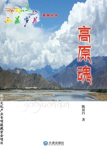 Tibetan Years Series·plateau Soul