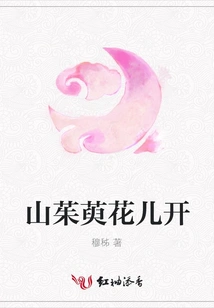 Dogwood Flowers Bloom