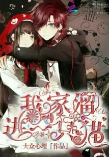 A Cat Sneaked into My House