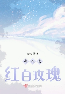 Stranger's Red and White Roses