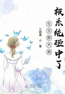 I Got Hit by the System on My Birthday