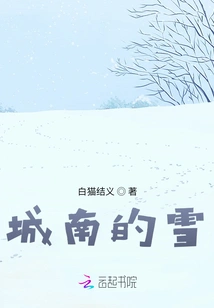 Snow in the South of the City